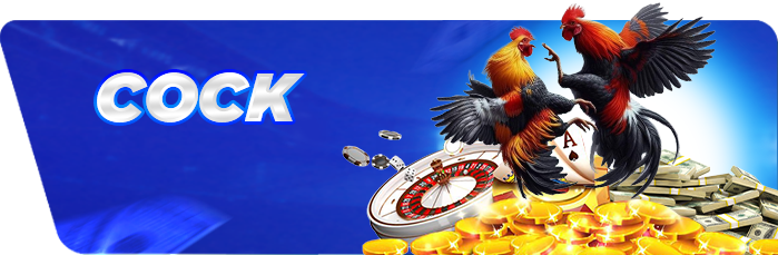 cockfight